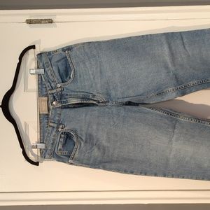 EUC Everlane Curvy Cheeky Jean